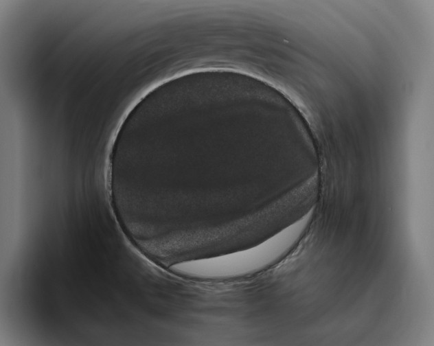 X0000094821527200712071235