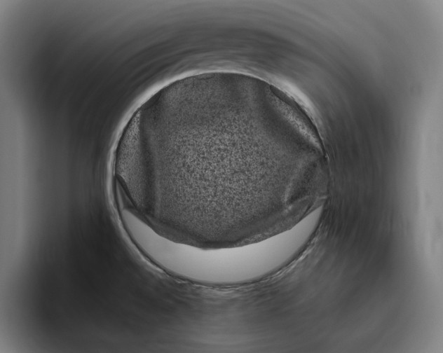 X0000094821528200712071235