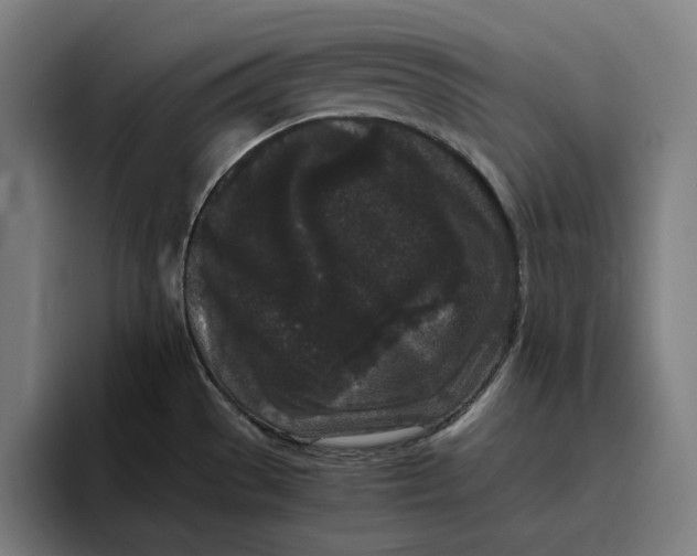 X0000094821529200712071235