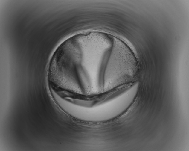 X0000094821530200712071235