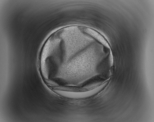 X0000094821531200712071235