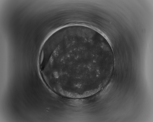 X0000094821533200712071235