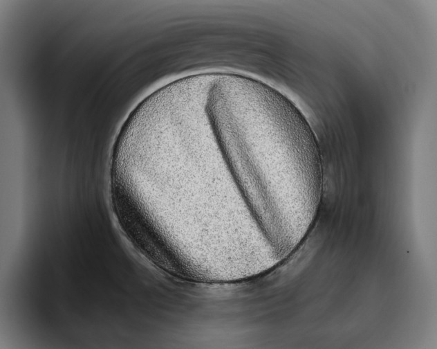 X0000094821534200712071235