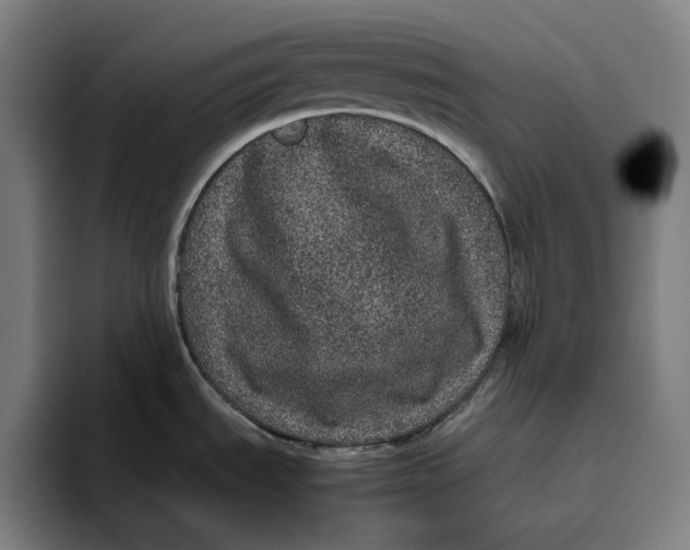 X0000094821535200712071236