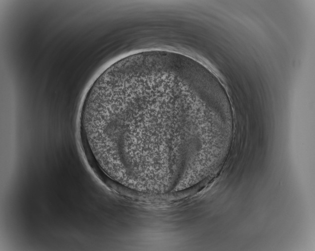 X0000094821536200712071236