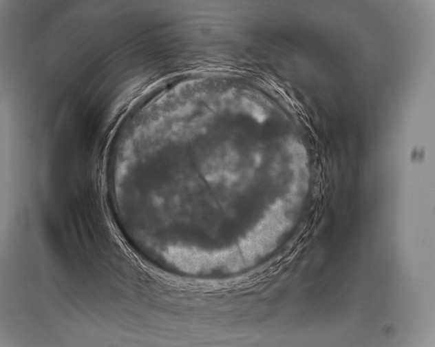 X0000094820002200712141655