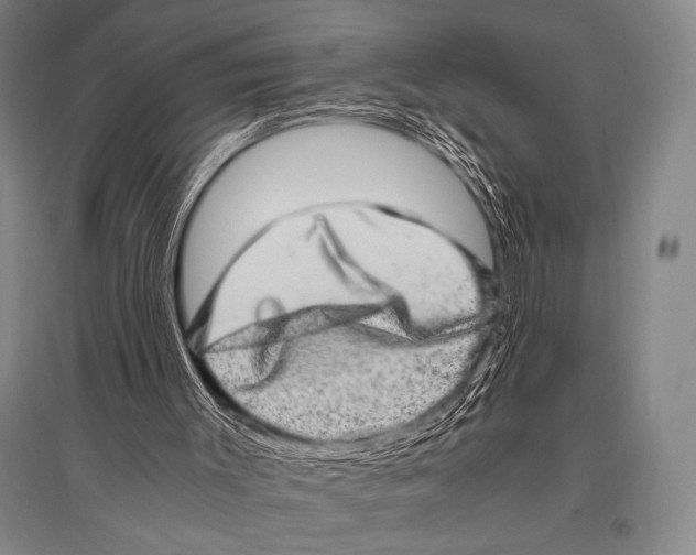 X0000094820003200712141655