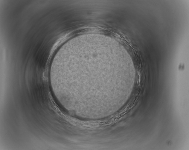 X0000094820004200712141655