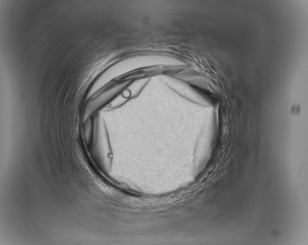X0000094820005200712141655