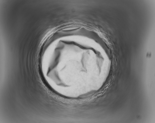 X0000094820007200712141655