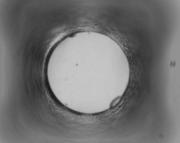 X0000094820008200712141655