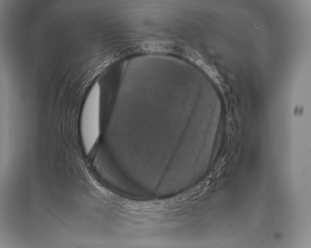 X0000094820009200712141655
