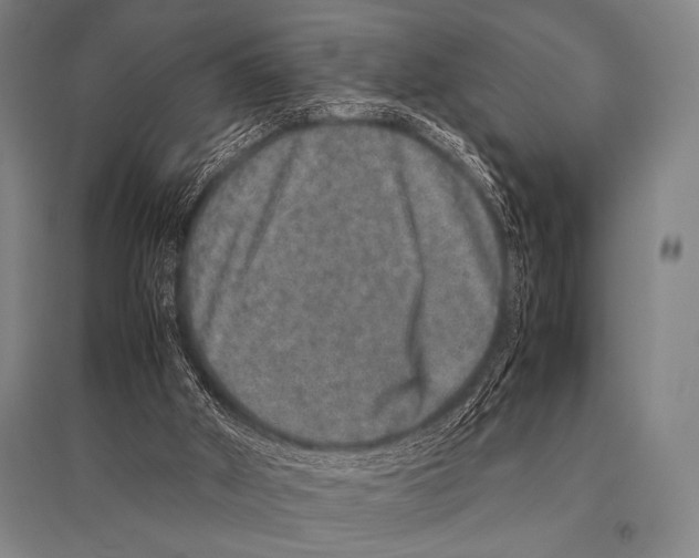 X0000094820010200712141655