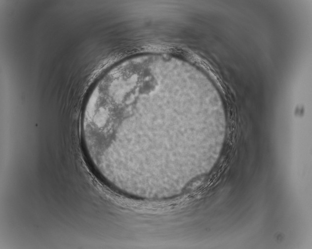X0000094820011200712141655