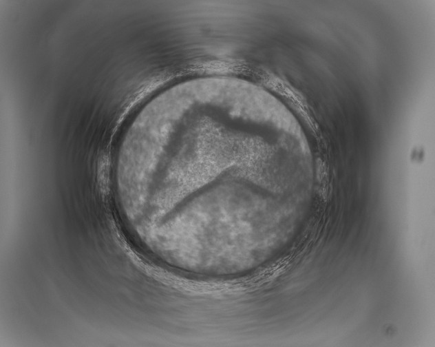 X0000094820012200712141655