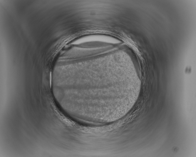 X0000094820013200712141655