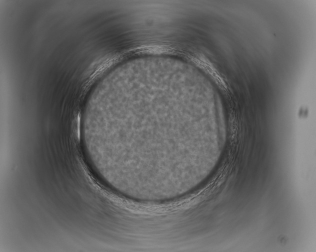 X0000094820014200712141655