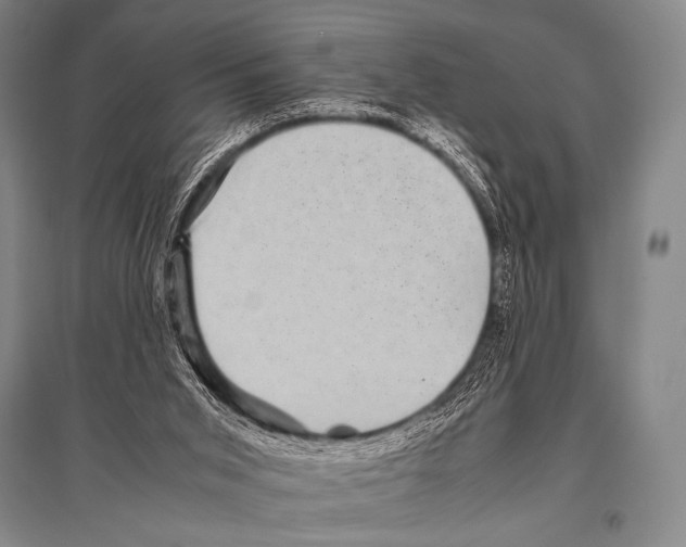 X0000094820015200712141655
