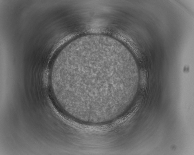 X0000094820016200712141655