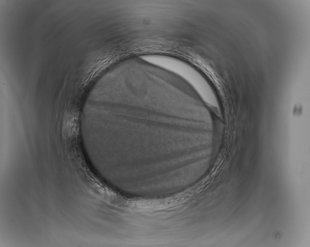 X0000094820017200712141655