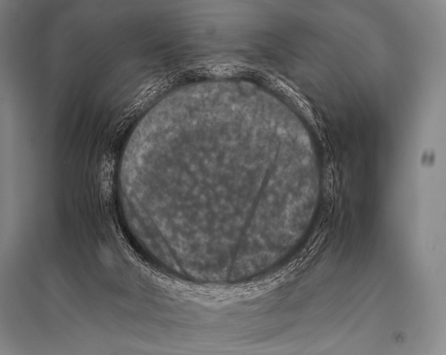 X0000094820018200712141655