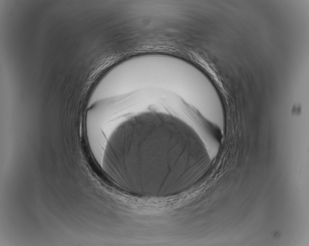 X0000094820019200712141655