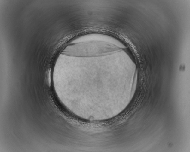 X0000094820020200712141655