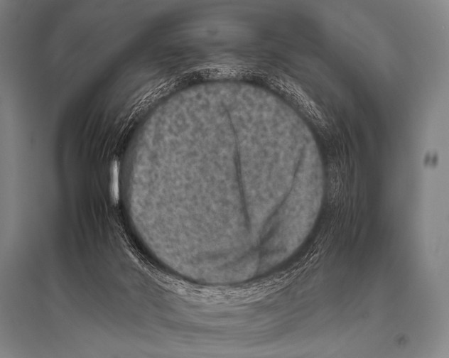 X0000094820022200712141655