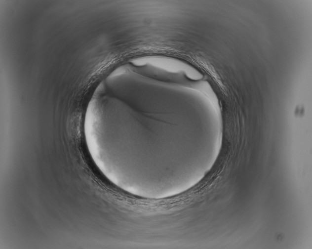 X0000094820023200712141655