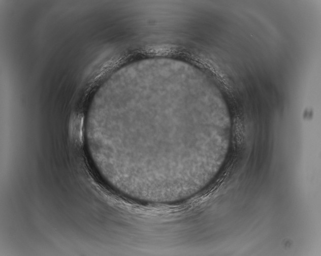 X0000094820024200712141655