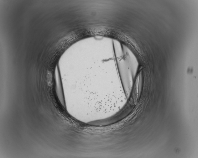 X0000094820025200712141655
