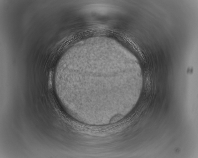 X0000094820026200712141655