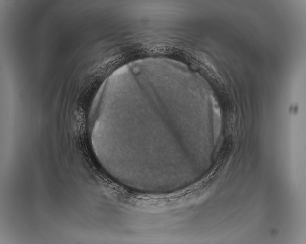 X0000094820029200712141655