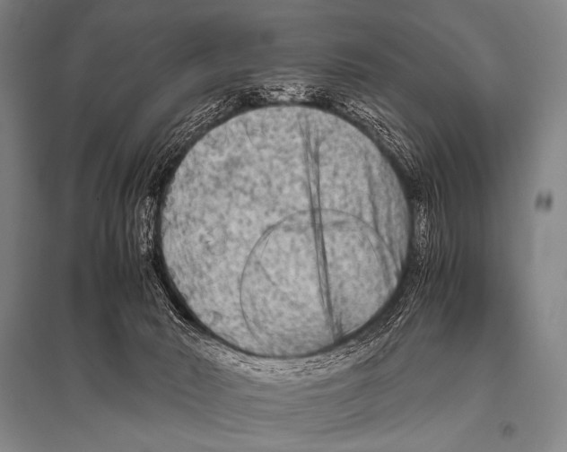 X0000094820030200712141655