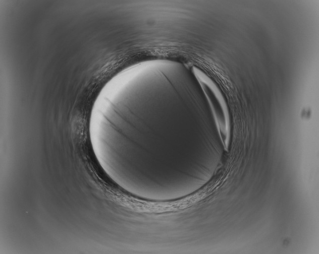 X0000094820031200712141655