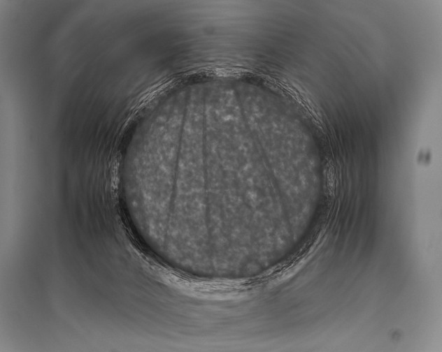 X0000094820032200712141655