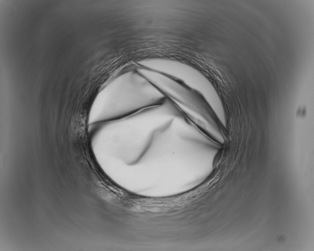 X0000094820033200712141655