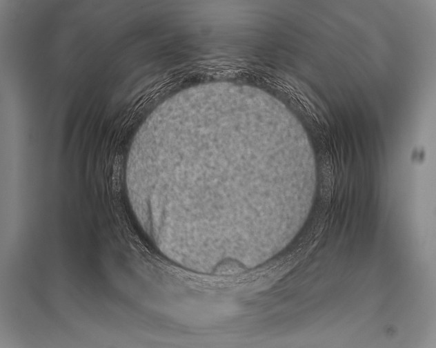 X0000094820034200712141655