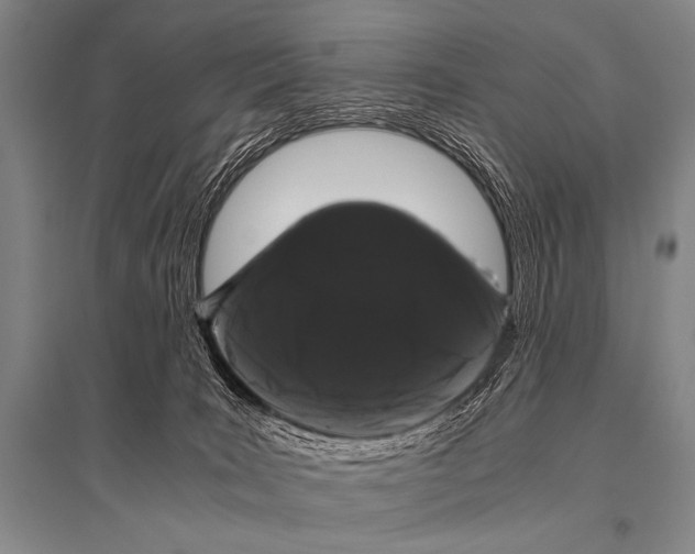 X0000094820035200712141655