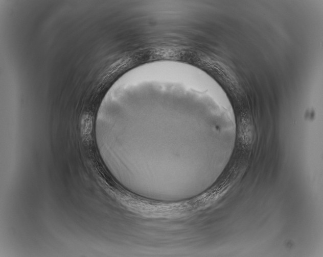 X0000094820036200712141655