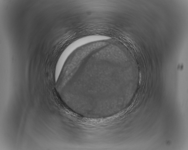 X0000094820037200712141655