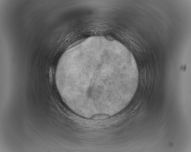 X0000094820038200712141655