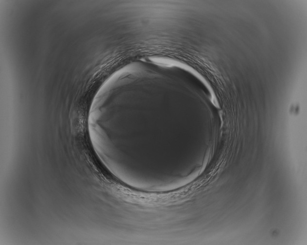 X0000094820039200712141655