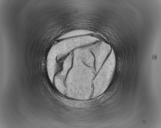X0000094820040200712141655