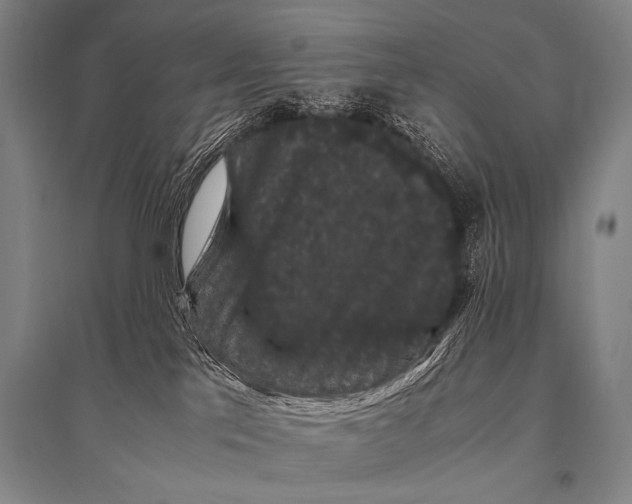 X0000094820041200712141655