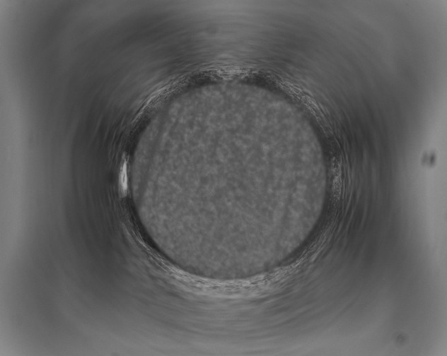 X0000094820042200712141655