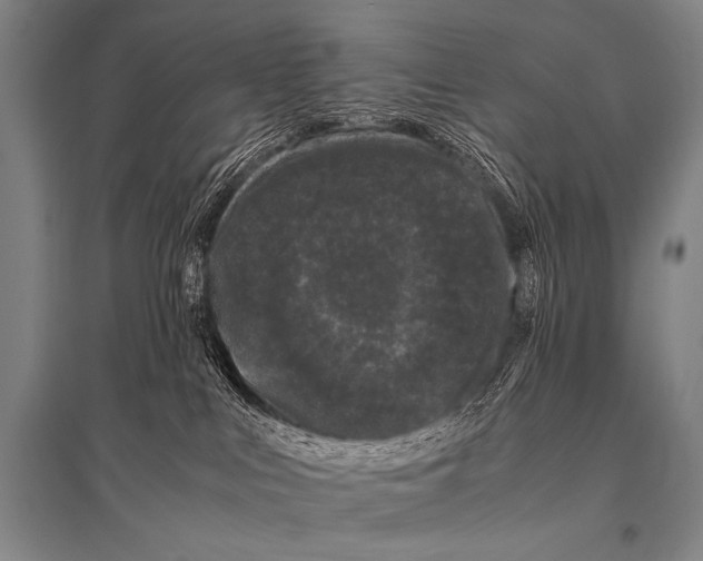 X0000094820043200712141655