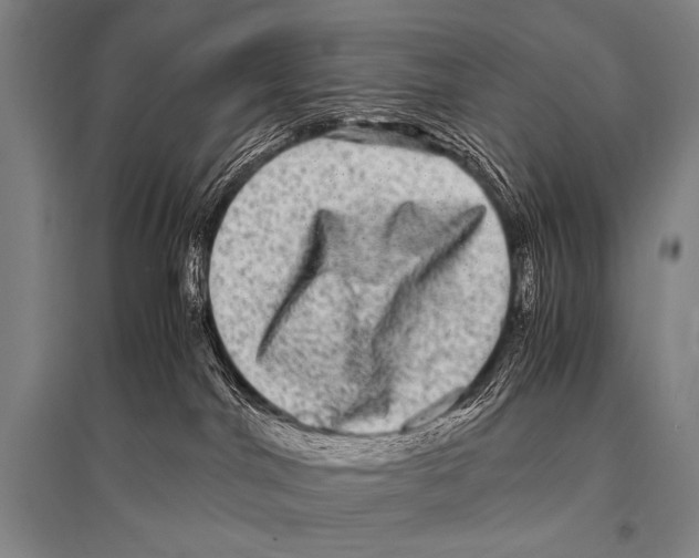 X0000094820044200712141655