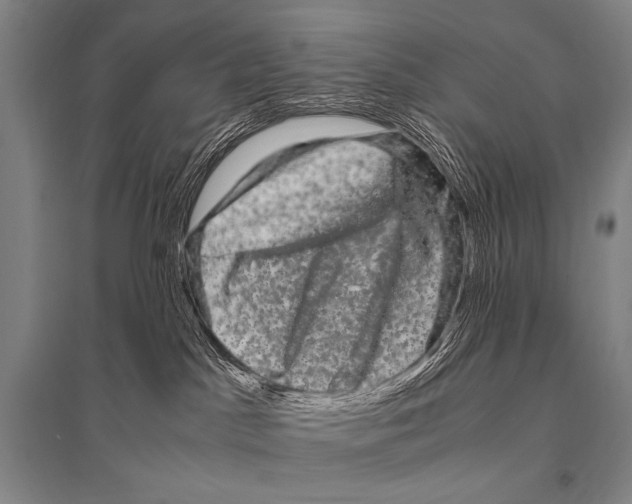 X0000094820045200712141654