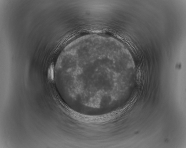 X0000094820046200712141654